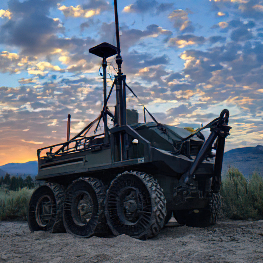 Hunter WOLF on sandy terrain at sunset